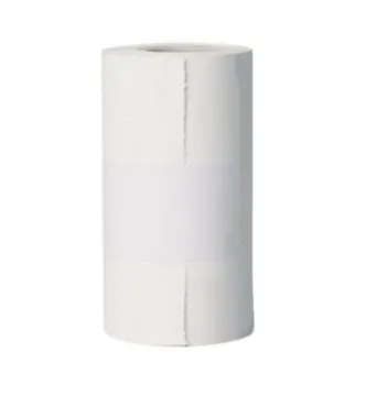 [2PAPERROLL] ICanClave - D Series Autoclave Paper Roll - Pack of 5